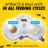 imageCombat Max 2 in 1 Ant Bait Station 4 Count4 count Pack of 3